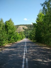 Empty road along trees and plants