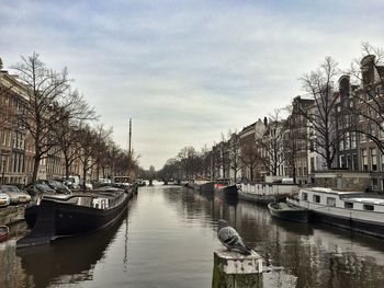 Boats moored on canal in city against sky