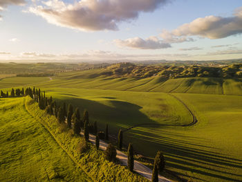 Countryside around siena. drone view.