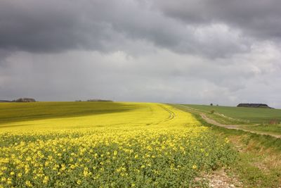 Scenic view of field against cloudy sky