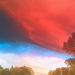 Low angle view of trees against sky