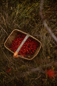 High angle view of strawberries in basket