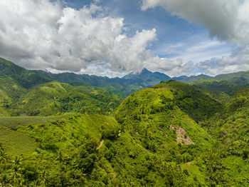 Tropical green forest in the mountains and jungle hills in the highlands of philippines. negros.