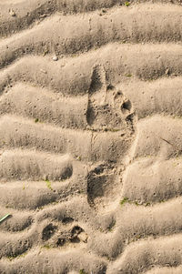 High angle view of sand