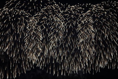 Low angle view of fireworks against black background