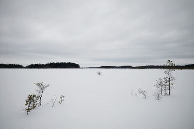 Scenic view of snow covered lake against sky
