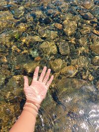 Cropped hand of man in water