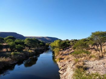 Scenic view of river amidst trees against clear blue sky