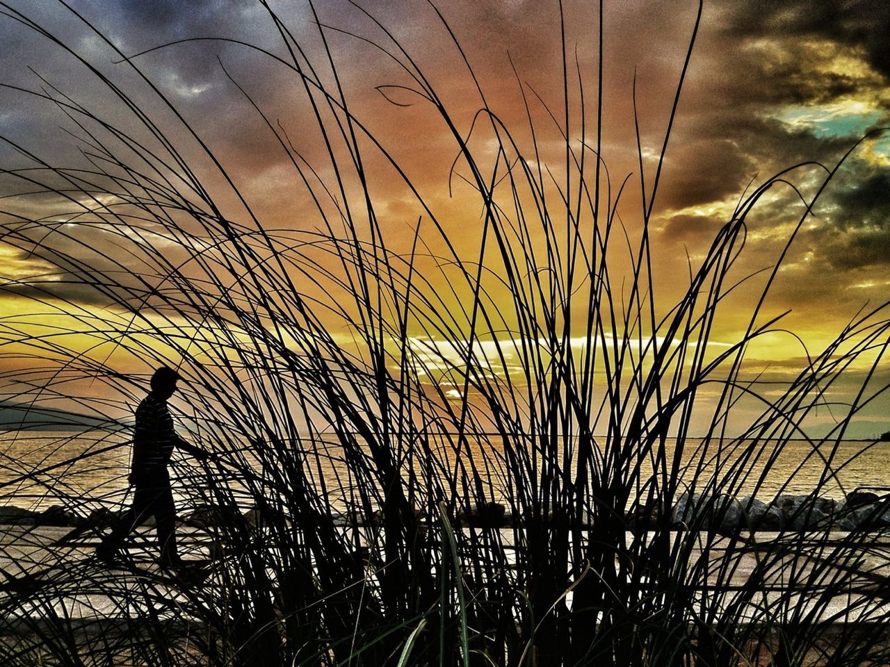 sky, sunset, silhouette, cloud - sky, tranquility, nature, plant, cloud, beauty in nature, water, scenics, tranquil scene, field, power line, outdoors, leisure activity, orange color, grass