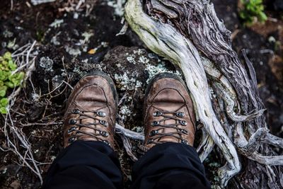 Low section of man standing on rock by root in forest