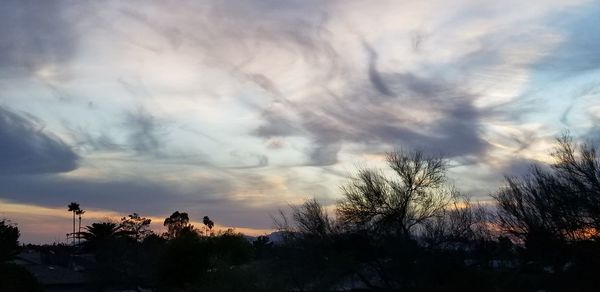 Low angle view of silhouette trees against dramatic sky