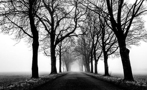 Road amidst bare trees against sky