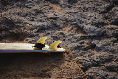 Low section of woman sitting on rock