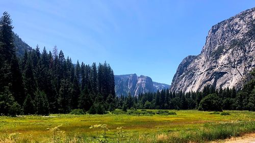 Scenic view of trees and mountains against sky