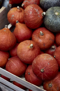 Full frame shot of pumpkins for sale at market stall