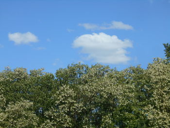 sky