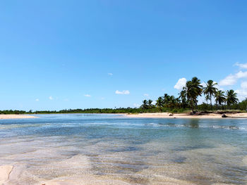 Scenic view of sea against blue sky