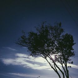 Low angle view of trees against blue sky