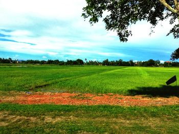 Scenic view of field against sky