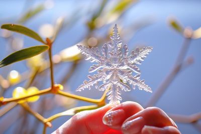 Close-up of hand holding snowflake