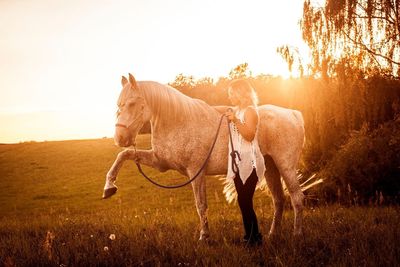 Horse standing on grassy field