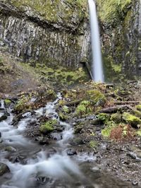 Scenic view of waterfall in forest