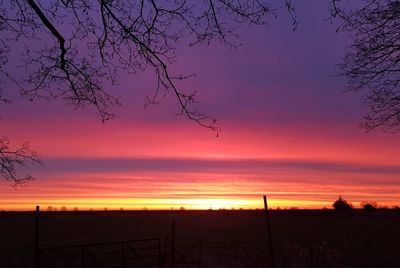 Silhouette bare trees on landscape against sky during sunset
