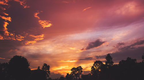 Low angle view of silhouette trees against orange sky