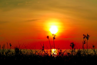 Silhouette plants on field against romantic sky at sunset