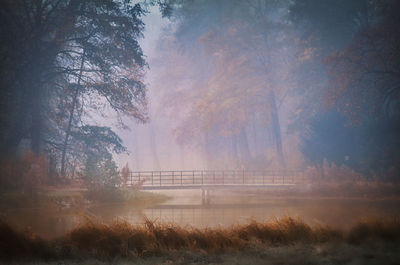 Trees on field against sky during foggy weather