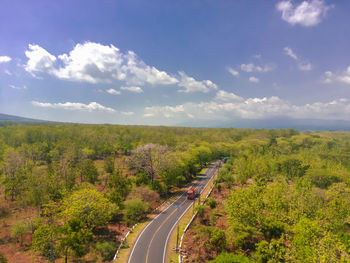 Aerial shot of road between the forests in national park situbondo, east java