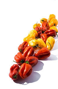 Close-up of red chili peppers against white background