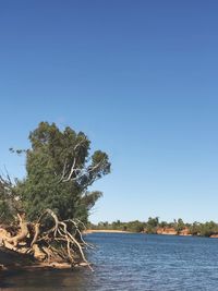 Scenic view of lake against clear blue sky