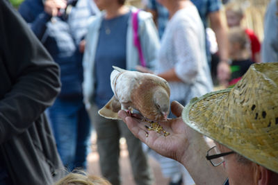 People holding bird