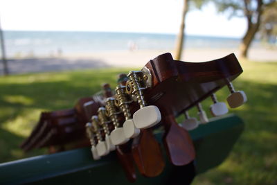 Close-up of guitar