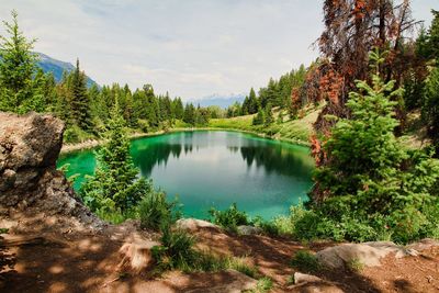 Scenic view of lake in forest against sky