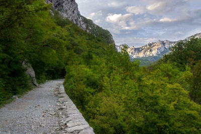 Scenic view of dirt road leading to mountains against sky