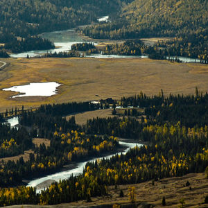 High angle view of river along trees