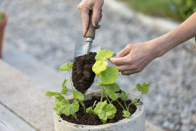 Woman planting flower