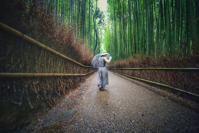 Woman with umbrella walking on footpath amidst trees in forest