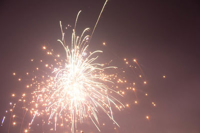 Low angle view of firework display at night