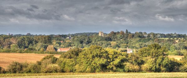 Trees on field against sky
