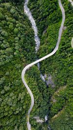 High angle view of road amidst trees