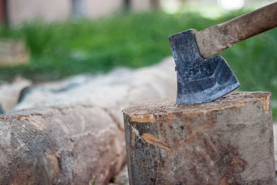 Ax pinned in the stump, cuts of trees, firewood, preparing for cold days, chopping wood