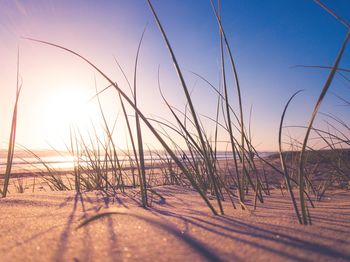 Scenic view of beach against clear sky