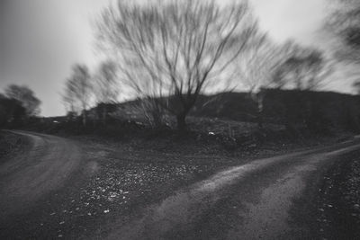 Road amidst bare trees against sky