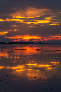 Scenic view of sea against orange sky