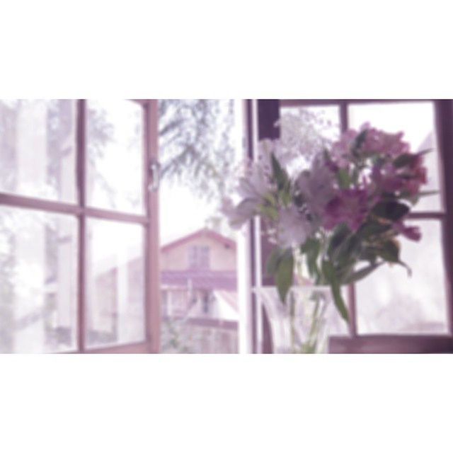 window, built structure, architecture, building exterior, indoors, growth, glass - material, transfer print, auto post production filter, plant, transparent, flower, close-up, tree, nature, day, house, focus on foreground, no people, home interior