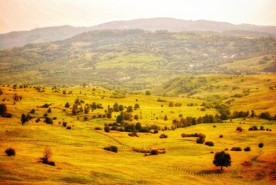 Scenic view of landscape against sky