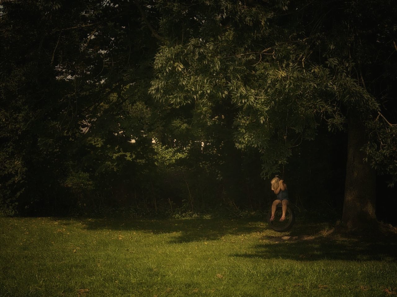 tree, grass, growth, one person, nature, full length, outdoors, day, childhood, real people, people